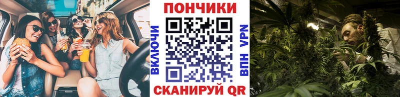 блэк спрут как зайти  дарк нет какой сайт  Шишки марихуана гибрид  Медвежьегорск 